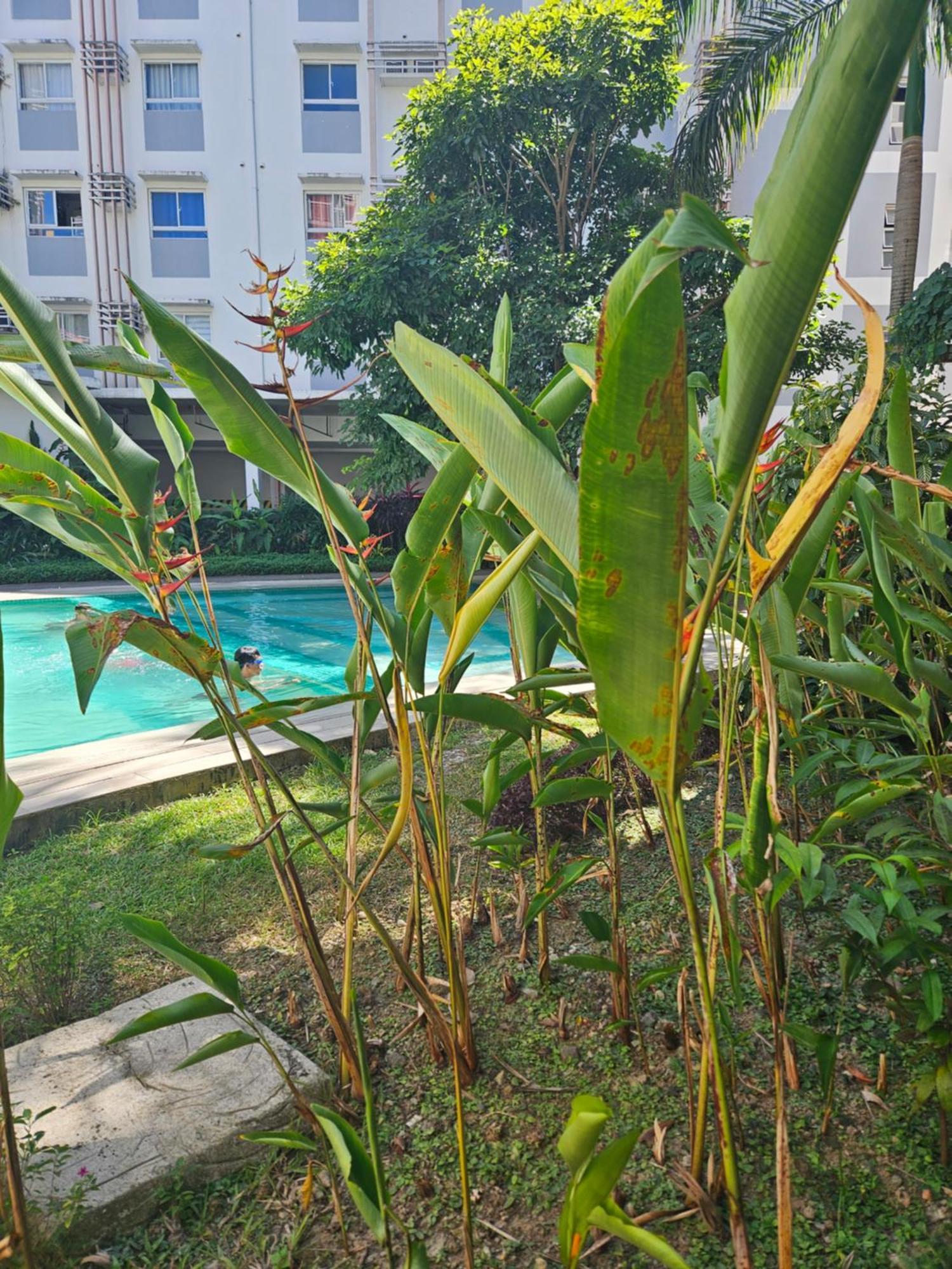 2-Bedroom Boutique City Condo - Newly Renovated! Cebu Zewnętrze zdjęcie