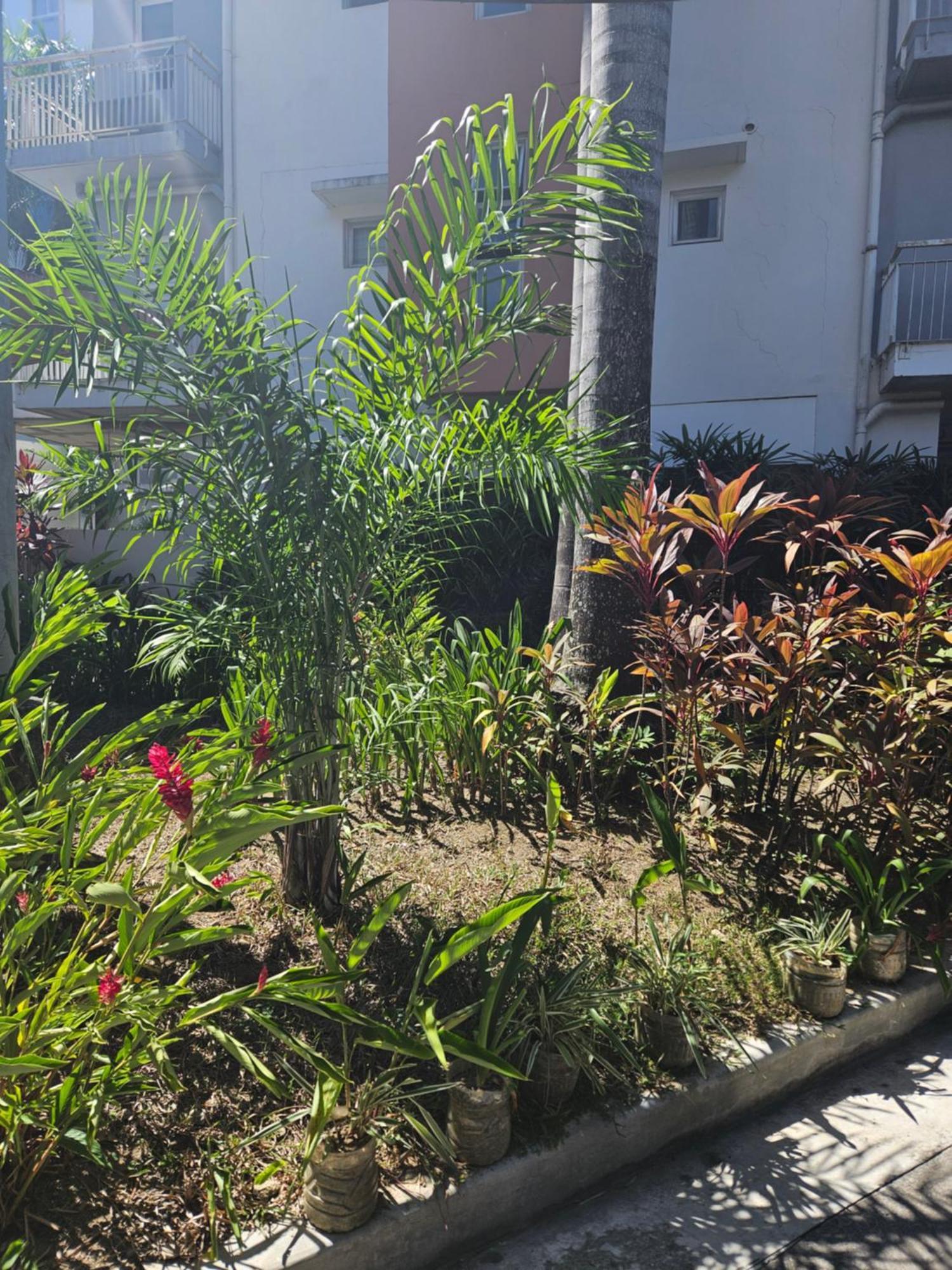 2-Bedroom Boutique City Condo - Newly Renovated! Cebu Zewnętrze zdjęcie